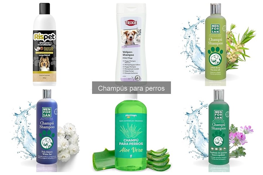 ¿Con qué frecuencia debo bañar a mi perro con champú?
