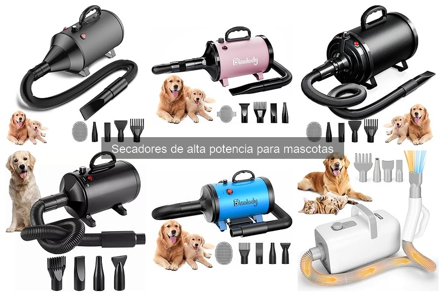 Configuración Ideal de Secadores de Alta Potencia para Pelajes