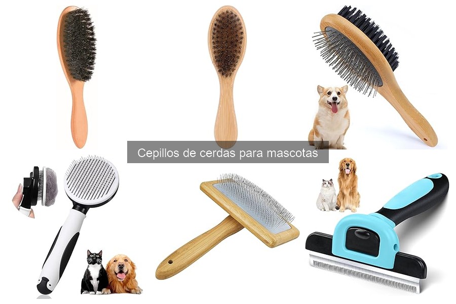 Consecuencias del mal uso de cepillos de cerdas en mascotas