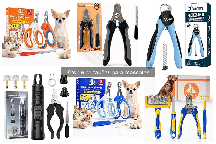 Consejos para Acostumbrar a Tu Mascota al Cortaúñas