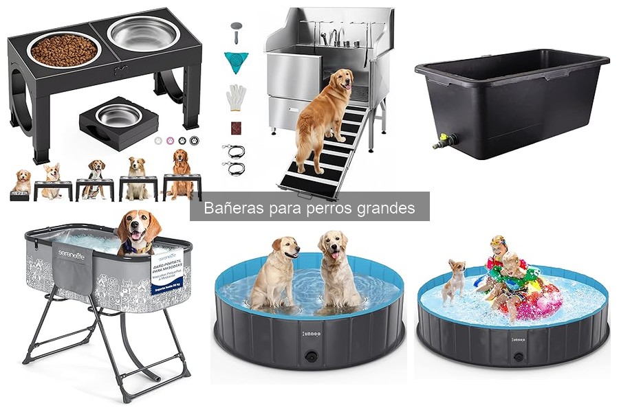 Consejos para bañar a perros grandes en casa fácilmente