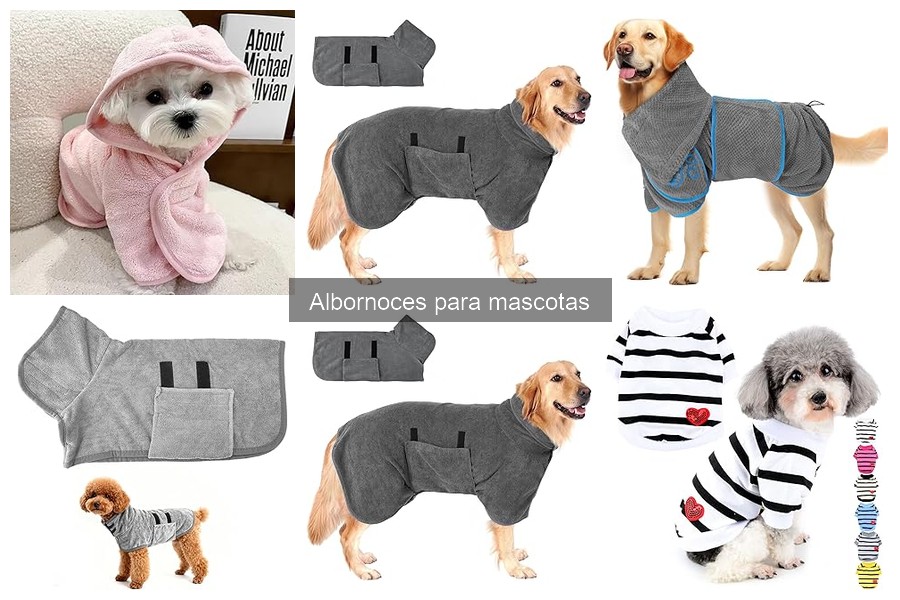 Consejos para Bañar a tu Mascota con un Albornoz Efectivo
