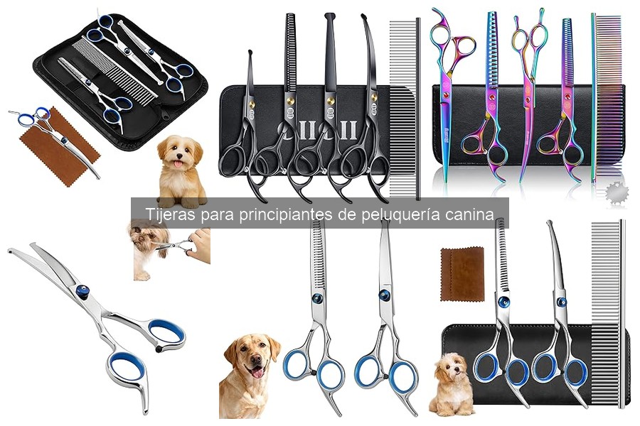 Consejos para Cortes Seguros con Tijeras en Perros
