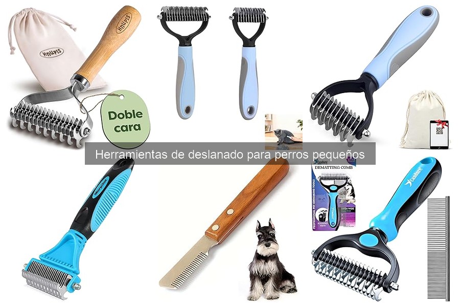 Consejos para deslanar a perros pequeños con miedo a la herramienta