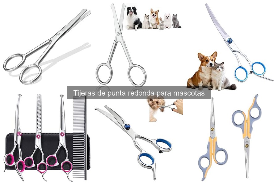 Consejos para el cuidado del pelaje con tijeras de punta redonda