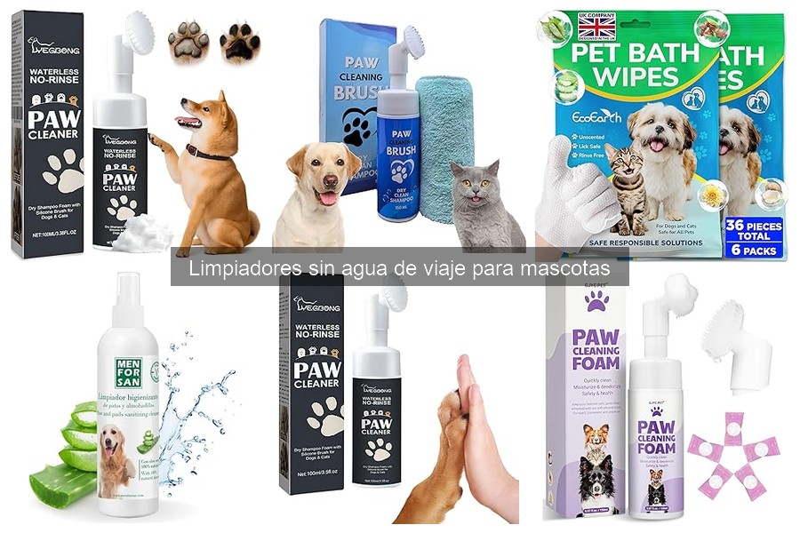 Consejos para elegir el mejor limpiador sin agua para mascotas