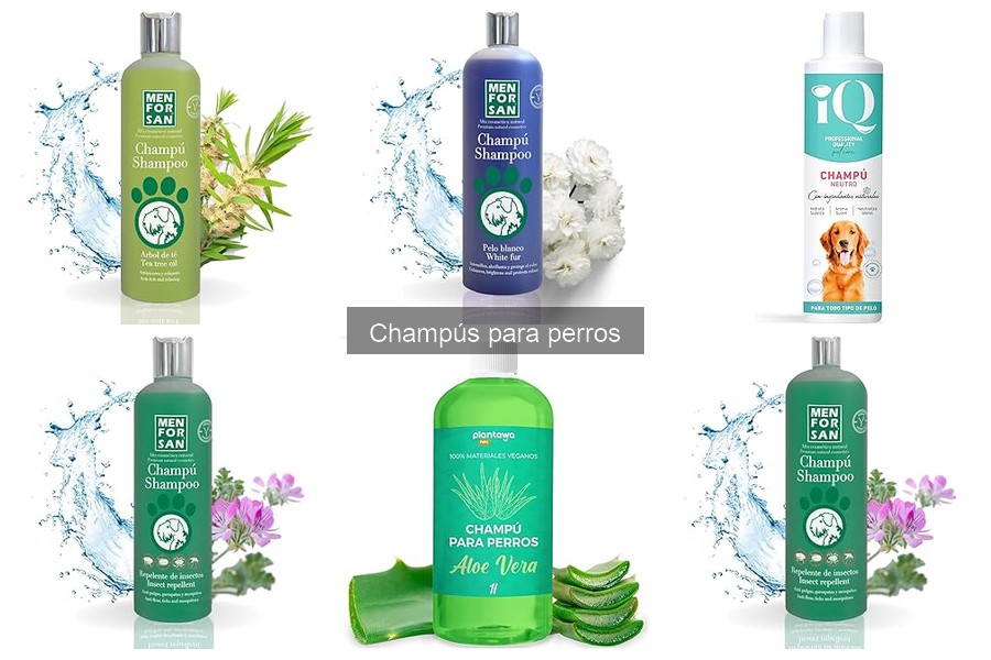 Consejos para Evitar Irritaciones al Usar Champús en Perros