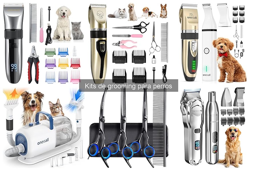 Consejos para Mantener en Buen Estado tu Kit de Grooming