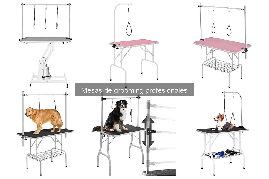 Consejos para Montar una Mesa de Grooming en Casa