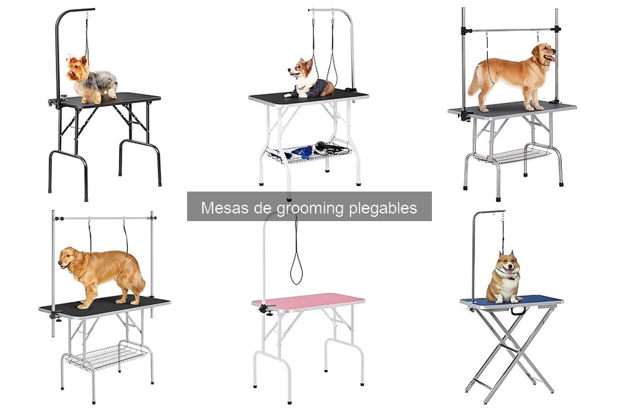 Consejos para Ubicar tu Mesa de Grooming Plegable