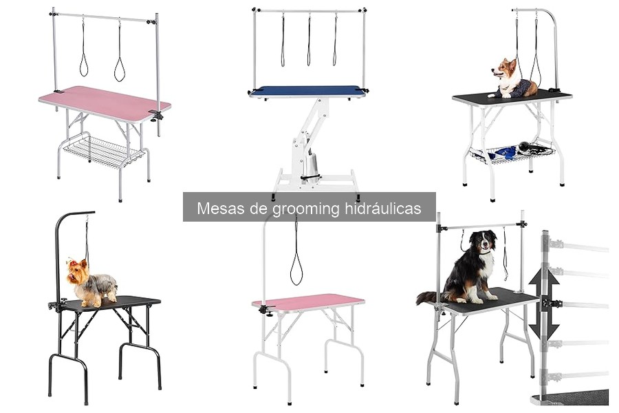 Consejos para Usar Eficientemente Mesas de Grooming Hidráulicas