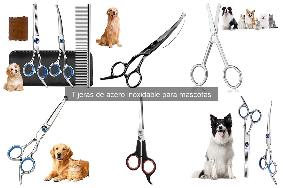 Consejos para Usar Tijeras de Acero Inoxidable en Mascotas