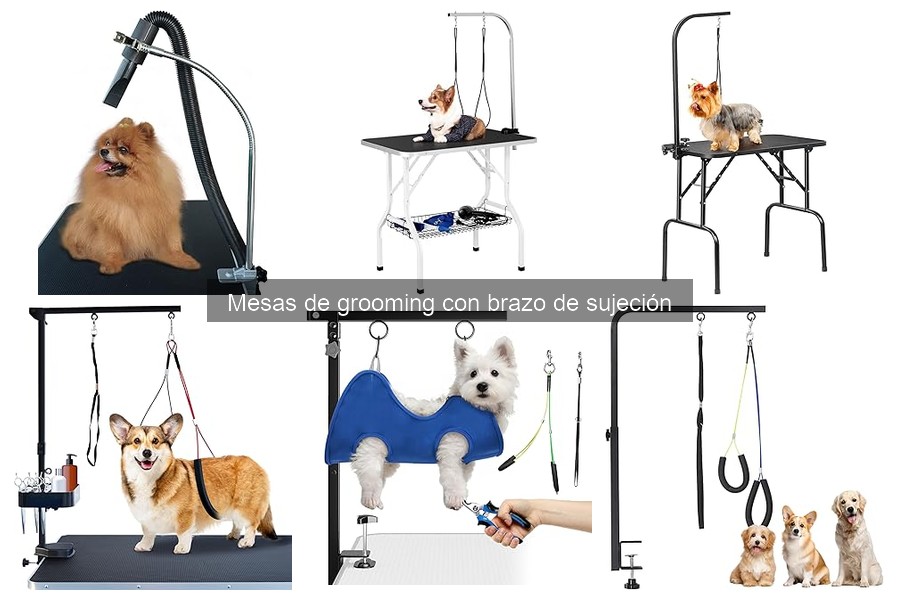 Consejos para usar una mesa de grooming con brazo de sujeción