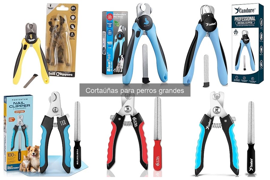 Cortaúñas para perros grandes: ¿Qué son y por qué son importantes?