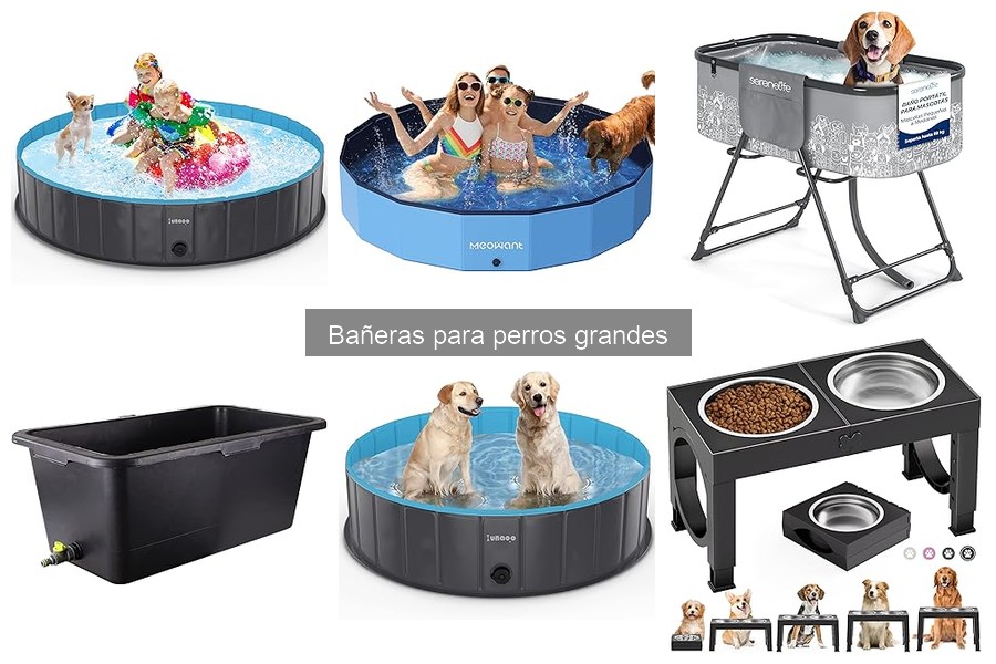 Crea tu propia bañera casera para perros grandes fácilmente