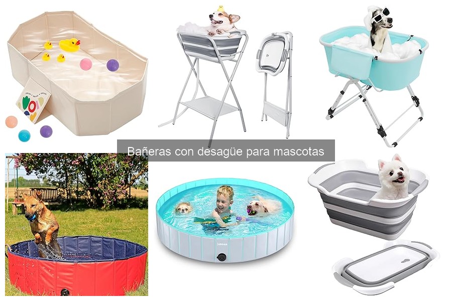 ¿Cuándo bañar a tu mascota en una bañera con desagüe?
