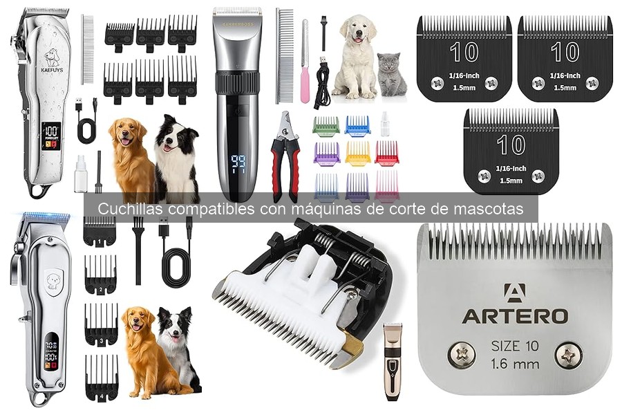 ¿Cuándo cambiar las cuchillas de tu cortadora de mascotas?