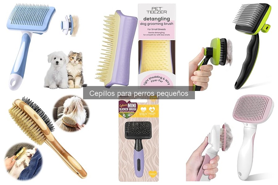Cuándo Cepillar a tu Perro Pequeño: Frecuencia y Consejos