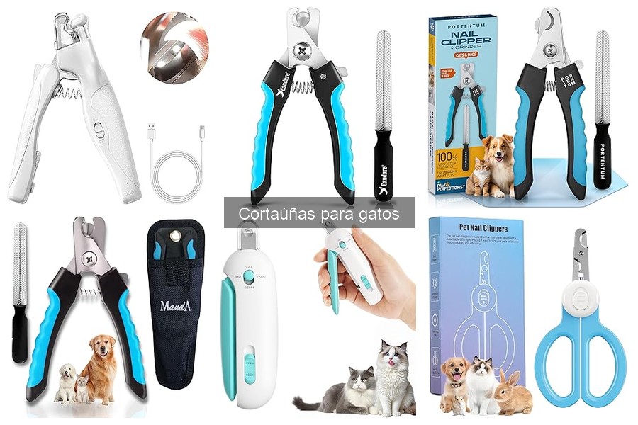 ¿Cuándo cortar las uñas de mi gato? Señales a tener en cuenta