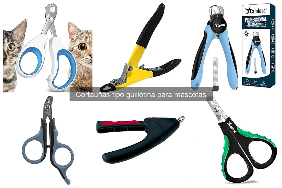 ¿Cuándo Cortar las Uñas de tu Mascota? Frecuencia y Consejos