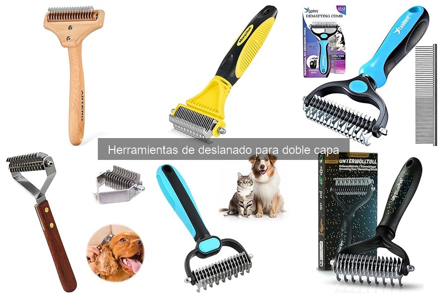 ¿Cuándo deslanar a mi perro de doble capa? Guía fácil
