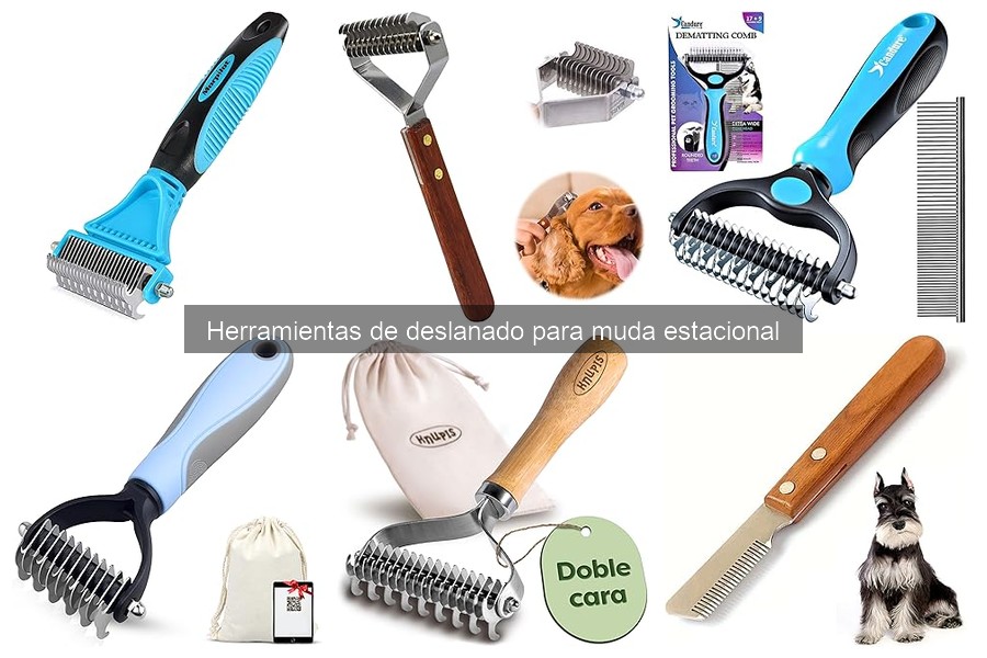 ¿Cuándo deslanar a tu mascota? Guía práctica para hacerlo bien