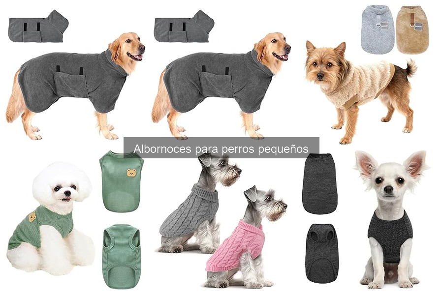 Cuándo Usar un Albornoz para Perros Pequeños: Guía Práctica