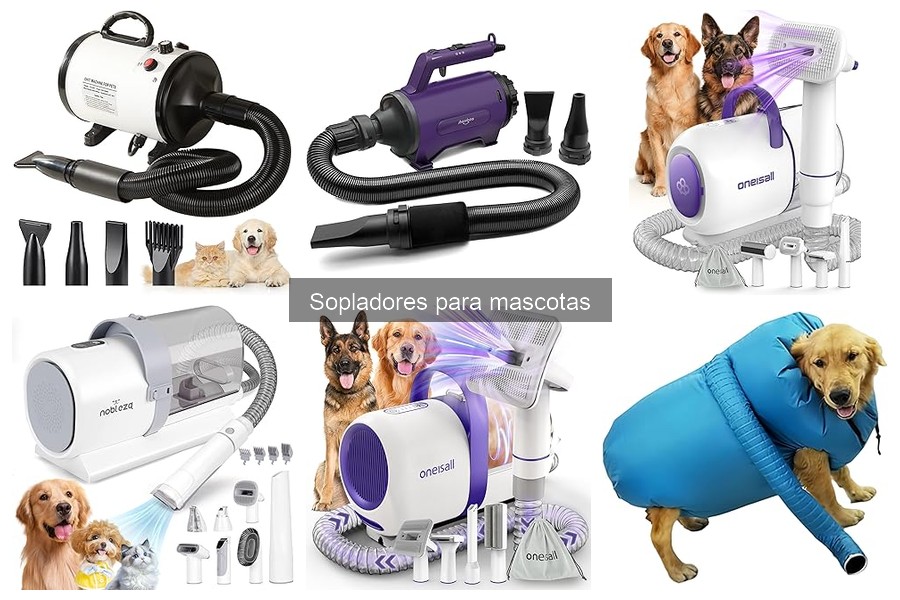 ¿Cuándo usar un soplador para mascotas? Guía práctica