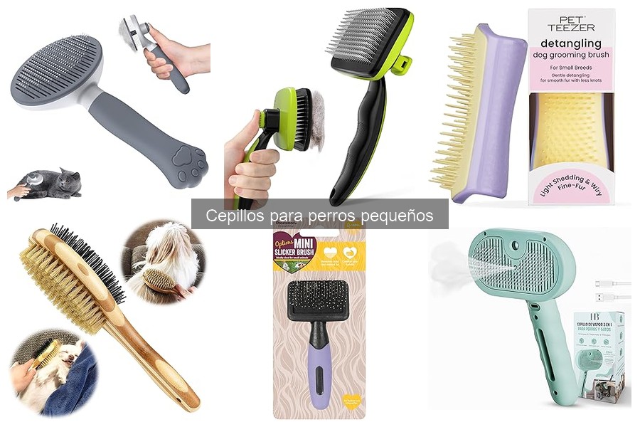 ¿Cuánto cuesta un cepillo para perros pequeños? Precios y opciones