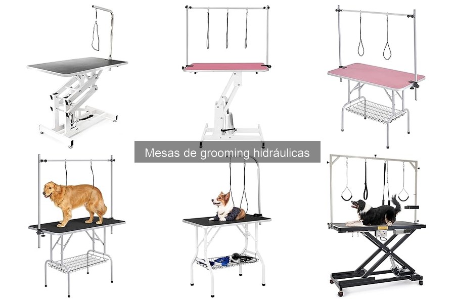 ¿Cuánto cuesta una mesa de grooming hidráulica?