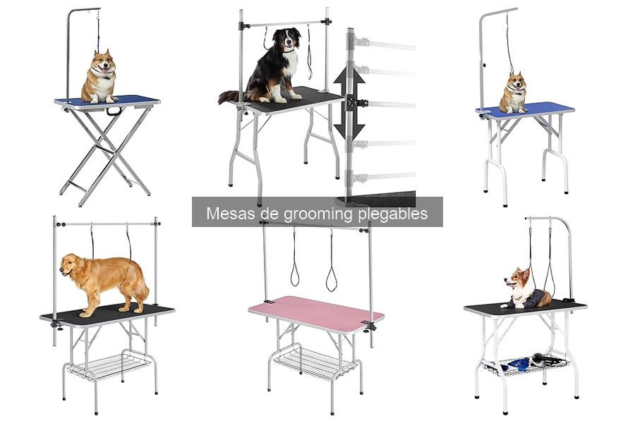 ¿Cuánto cuesta una mesa de grooming plegable? Precios y opciones