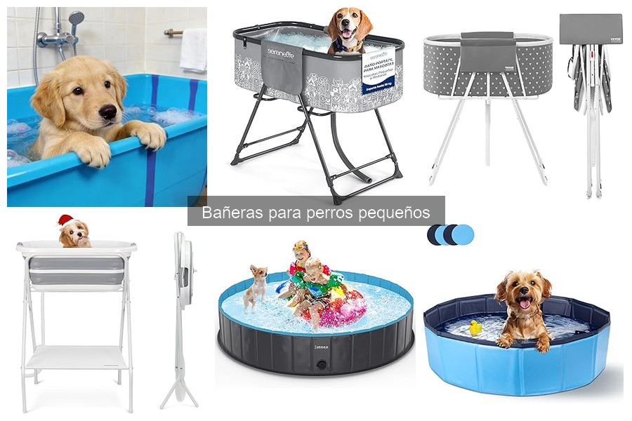 ¿Cuánto Cuestan las Bañeras para Perros Pequeños?
