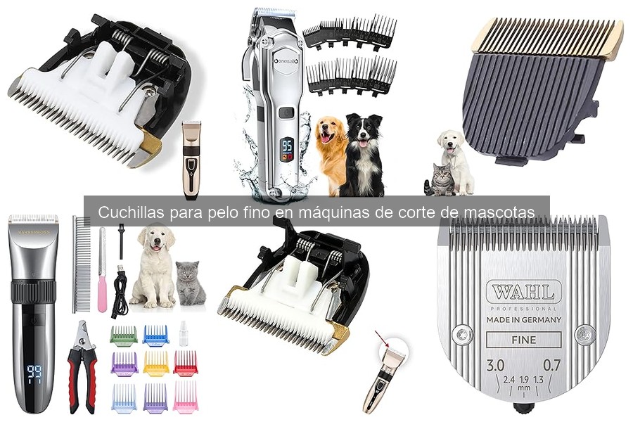 Cuchillas para pelo fino: alergias en mascotas y qué saber