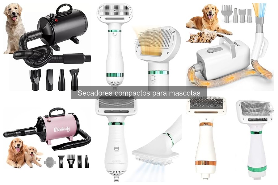 Cuidados para secadores compactos de mascotas: Guía práctica