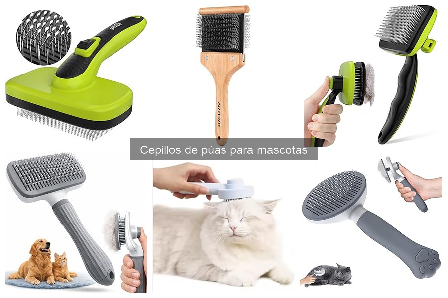 Cuidados y Mantenimiento de Cepillos de Púas para Mascotas