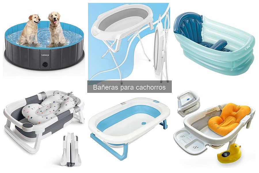 Descubre las Bañeras para Cachorros: Guía Informativa