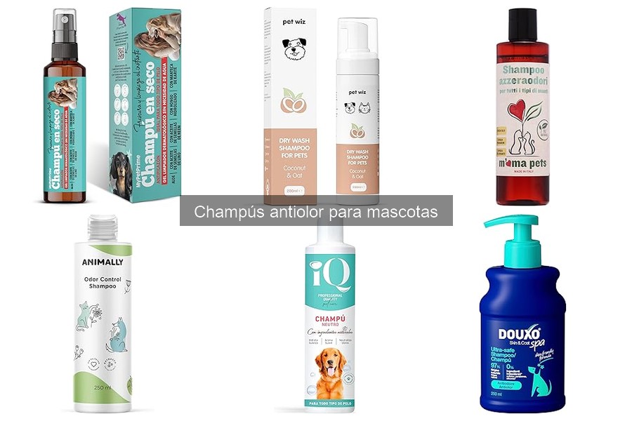 Descubre qué son los champús antiolor para mascotas