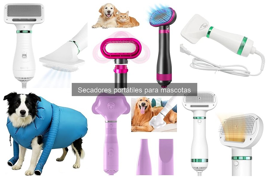 Diferencias entre secadores de mascotas y convencionales