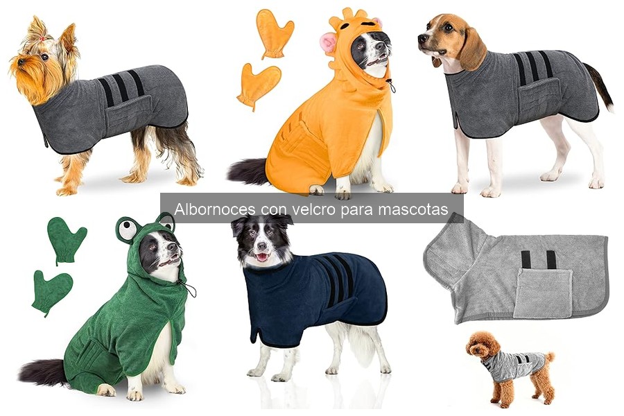 Dónde comprar albornoces con velcro para mascotas