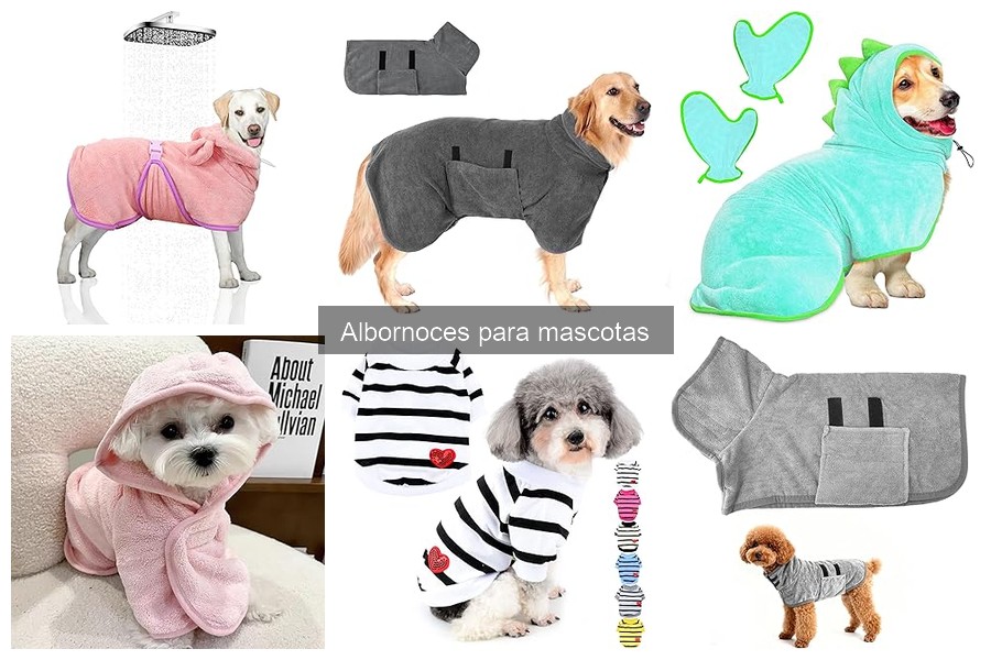 Dónde comprar albornoces para mascotas: mejores tiendas y precios