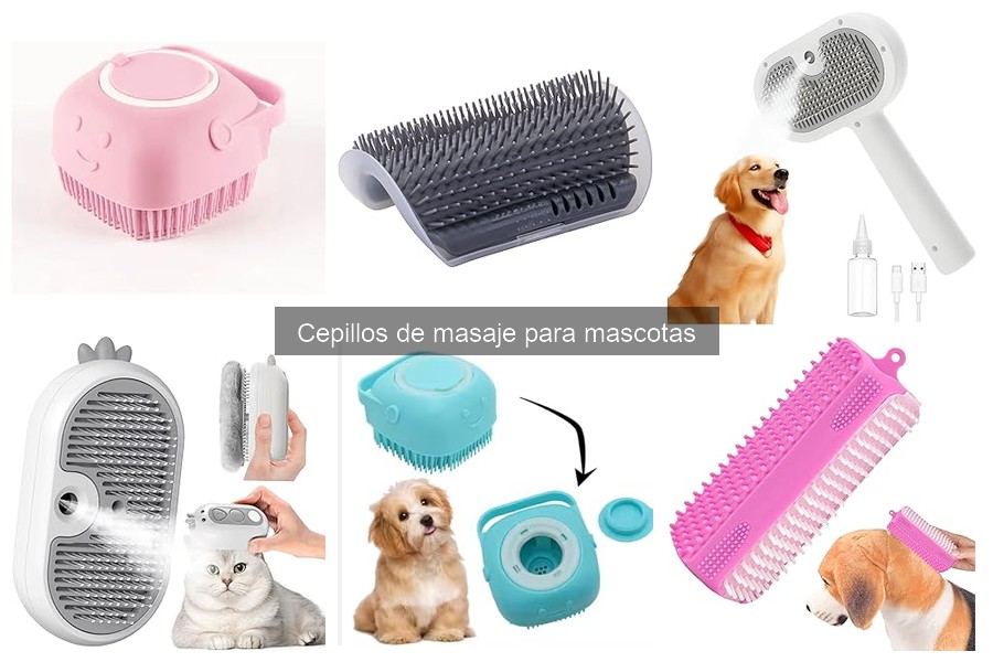 Dónde comprar cepillos de masaje para mascotas: Mejores opciones