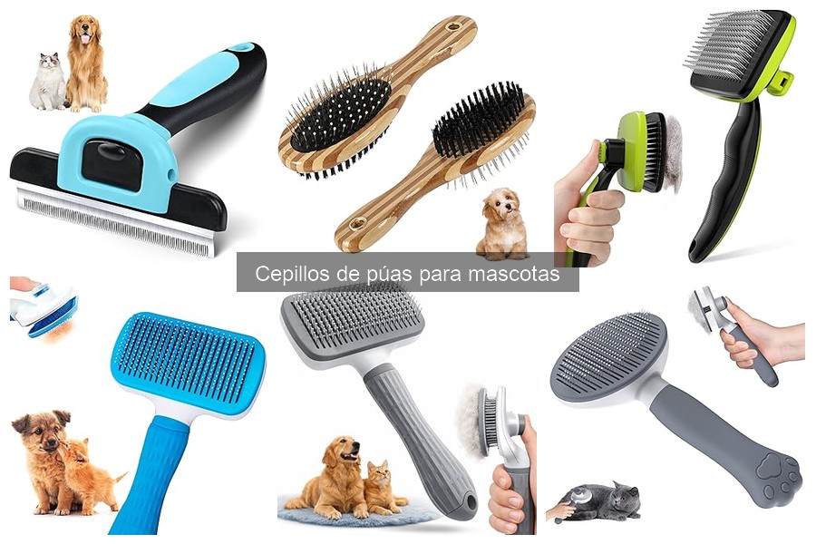 Dónde comprar cepillos de púas para mascotas al mejor precio