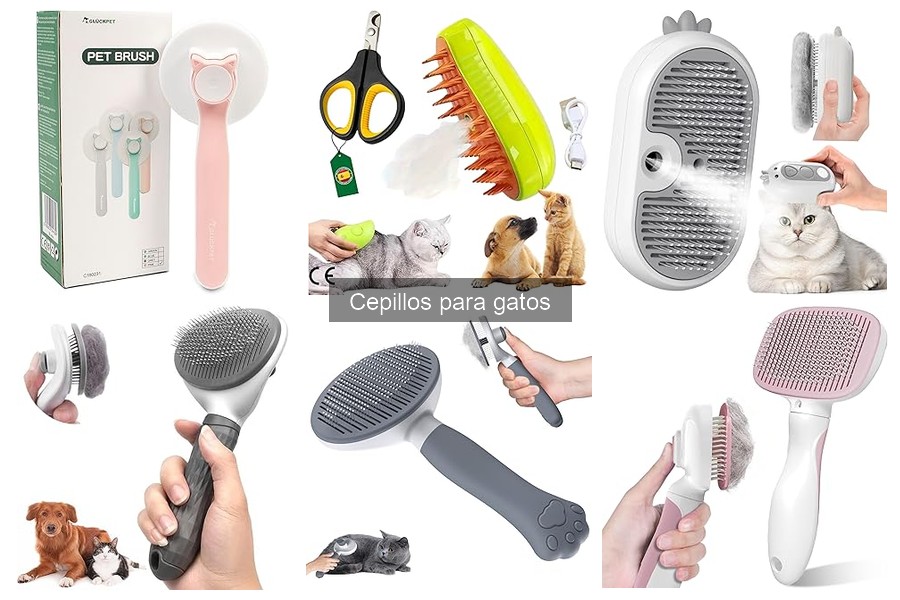 Dónde comprar cepillos para gatos: mejores tiendas online y físicas