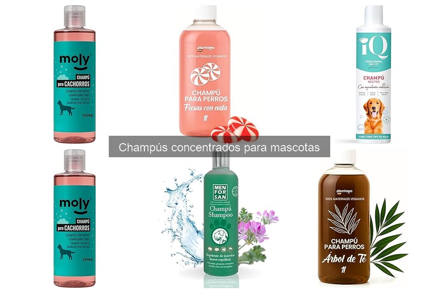 Dónde comprar champús concentrados para mascotas a buen precio