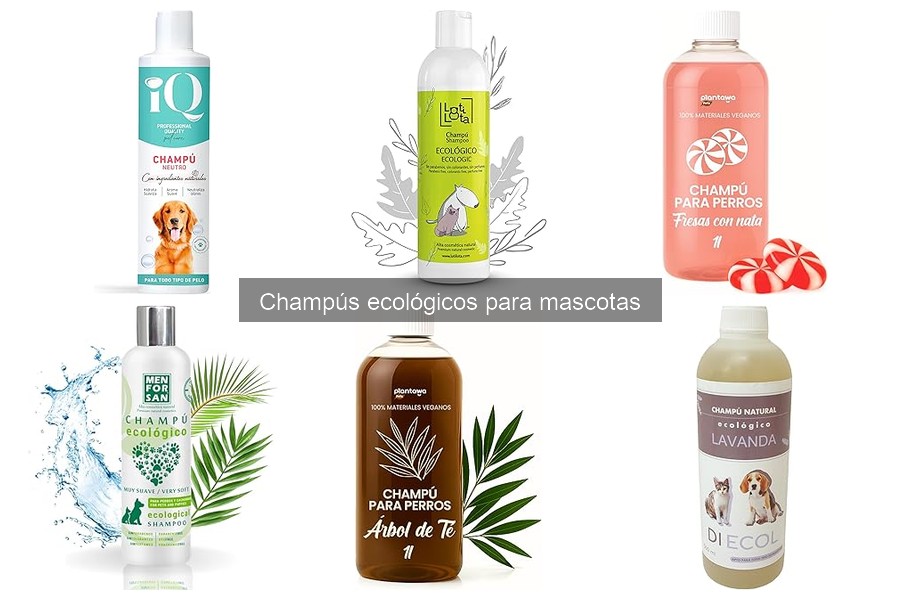 Dónde comprar champús ecológicos para mascotas fácilmente