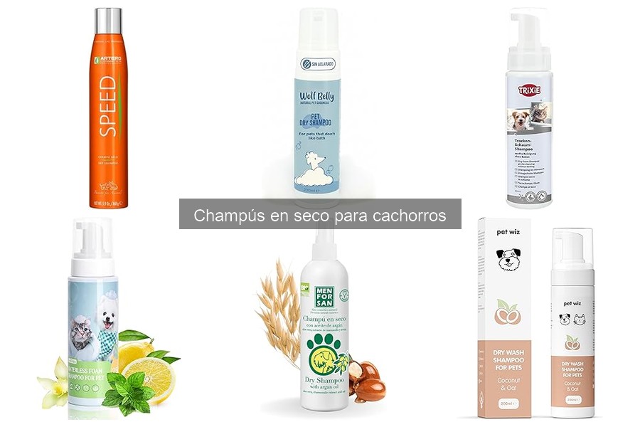 Dónde comprar champús en seco para cachorros: mejores opciones