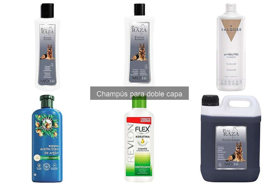 Dónde comprar champús para perros de doble capa: guía completa