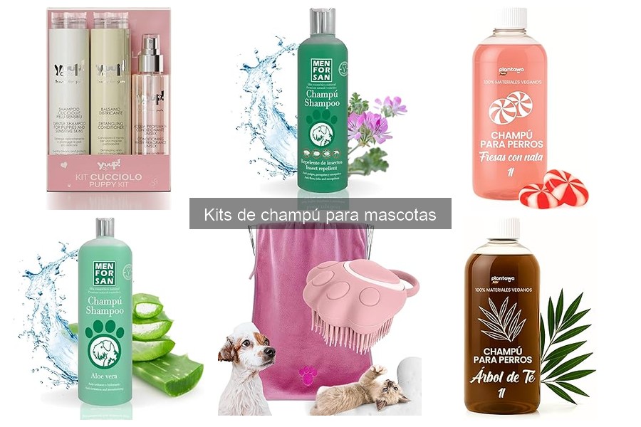 Dónde comprar kits de champú para mascotas a buen precio