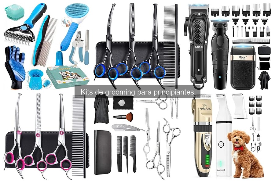 Dónde comprar kits de grooming para mascotas: guía completa