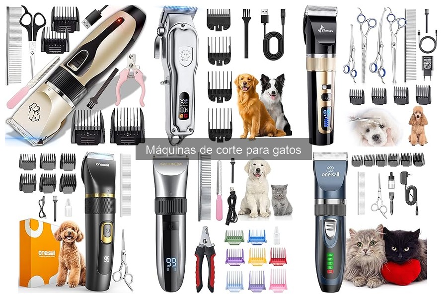 Dónde comprar máquinas de corte para gatos: Mejores plataformas